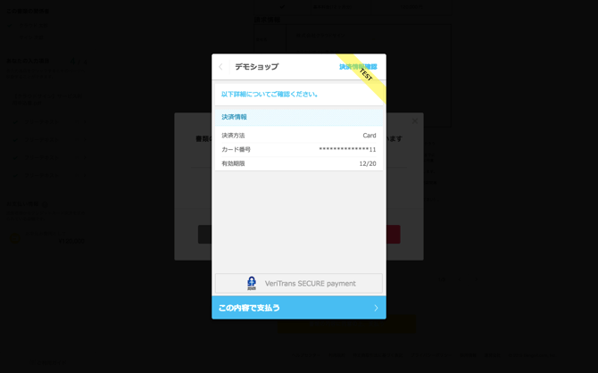 Payment6